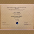 Ingrandire l'immagine: certificate 6