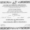 Ingrandire l'immagine: certificate 2