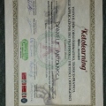 Ingrandire l'immagine: certificate 3