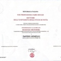 Ingrandire l'immagine: certificate 1