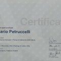 Ingrandire l'immagine: certificate 1