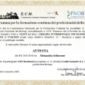 Ingrandire l'immagine: certificate 1