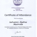 Ingrandire l'immagine: certificate 4