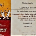 Ingrandire l'immagine: certificate 3