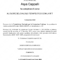 Ingrandire l'immagine: certificate 13