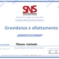Ingrandire l'immagine: certificate 9