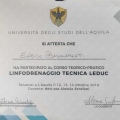 Ingrandire l'immagine: certificate 5