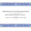 Ingrandire l'immagine: certificate 3