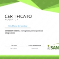 Ingrandire l'immagine: certificate 4