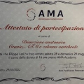 Ingrandire l'immagine: certificate 6
