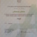 Ingrandire l'immagine: certificate 2