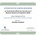 Ingrandire l'immagine: certificate 2