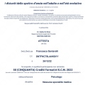 Ingrandire l'immagine: certificate 1