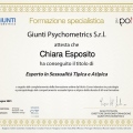 Ingrandire l'immagine: certificate 2