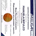 Ingrandire l'immagine: certificate 7