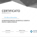 Ingrandire l'immagine: certificate 5