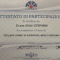 Ingrandire l'immagine: certificate 1