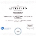 Ingrandire l'immagine: certificate 23