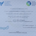 Ingrandire l'immagine: certificate 8