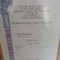 Ingrandire l'immagine: certificate 1