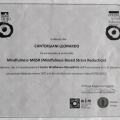 Ingrandire l'immagine: certificate 2