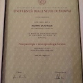 Ingrandire l'immagine: certificate 2
