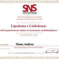 Ingrandire l'immagine: certificate 1