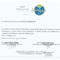 Ingrandire l'immagine: certificate 1
