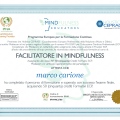 Ingrandire l'immagine: certificate 4