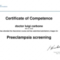 Ingrandire l'immagine: certificate 6