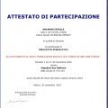Ingrandire l'immagine: certificate 3