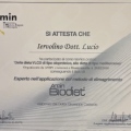 Ingrandire l'immagine: certificate 55