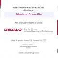 Ingrandire l'immagine: certificate 8