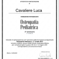 Ingrandire l'immagine: certificate 9