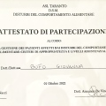 Ingrandire l'immagine: certificate 17