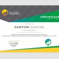 Ingrandire l'immagine: certificate 12