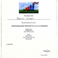 Ingrandire l'immagine: certificate 4