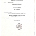 Ingrandire l'immagine: certificate 2