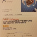 Ingrandire l'immagine: certificate 1