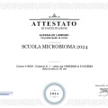 Ingrandire l'immagine: certificate 5