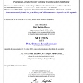 Ingrandire l'immagine: certificate 2