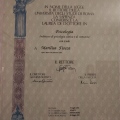 Ingrandire l'immagine: certificate 2