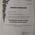 Ingrandire l'immagine: certificate 1
