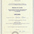 Ingrandire l'immagine: certificate 2