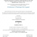 Ingrandire l'immagine: certificate 12