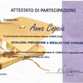 Ingrandire l'immagine: certificate 10
