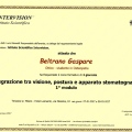 Ingrandire l'immagine: certificate 19