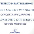 Ingrandire l'immagine: certificate 1