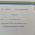 Ingrandire l'immagine: certificate 26