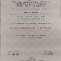 Ingrandire l'immagine: certificate 1